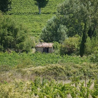 Photo de france - La randonnée des balcons d'Alignan-du-Vent